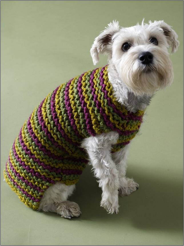 Crochet Patterns For Dogs Sweaters