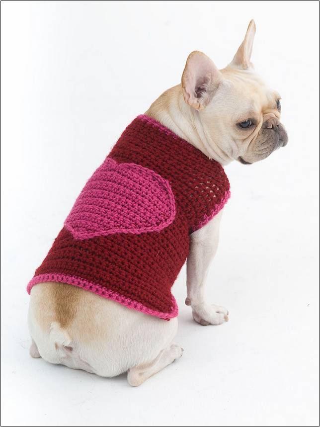 Easy Crochet Patterns For Dogs Sweaters