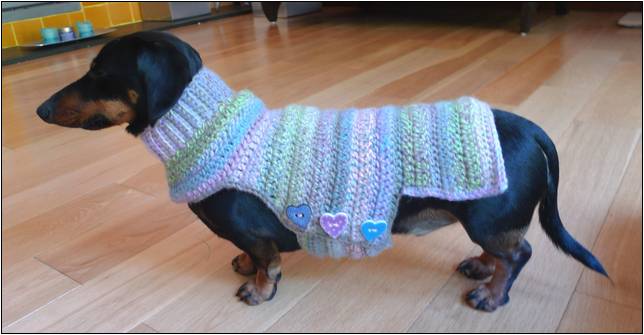 Free Dachshund Sweater Pattern
